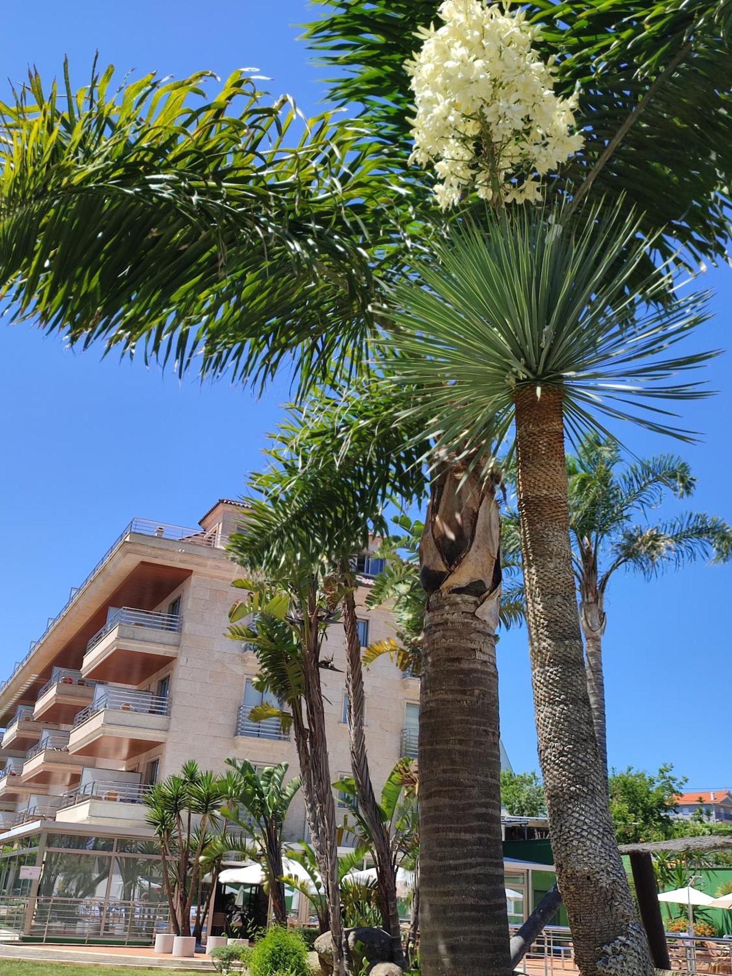 Apartamentos Marsil Montalvo Bagian luar foto